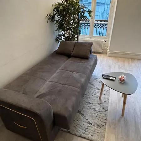 Appartement Charme Et Confort Au Coeur De Paris